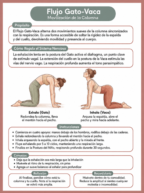 Ficha 9